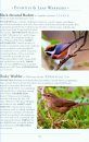 A Naturalist's Guide to the Birds of China