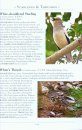 A Naturalist's Guide to the Birds of China
