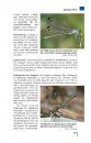 Taschenlexikon der Libellen Europas: Alle Arten von den Azoren bis zum Ural im Porträt [Field Guide to the Dragonflies of Europe: All Species from the Azores to the Ural Portrayed]