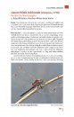 Taschenlexikon der Libellen Europas: Alle Arten von den Azoren bis zum Ural im Porträt [Field Guide to the Dragonflies of Europe: All Species from the Azores to the Ural Portrayed]