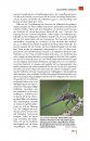 Taschenlexikon der Libellen Europas: Alle Arten von den Azoren bis zum Ural im Porträt [Field Guide to the Dragonflies of Europe: All Species from the Azores to the Ural Portrayed]