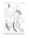 Flora del Valle de Tehuacán-Cuicatlán, Volume 54: Betulaceae