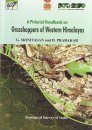 A Pictorial Handbook on Grasshoppers of Western Himalayas