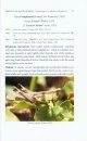 A Pictorial Handbook on Grasshoppers of Western Himalayas