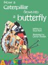 How a Caterpillar Grows into a Butterfly
