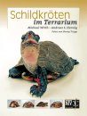 Schildkröten im Terrarium