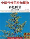 Color Atlas of Air-Borne Pollens and Plants in China [Chinese]