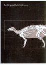 A Pictorial Guide to Paleontology: Dinosaurs of the World: Skeletal and Life Reconstructions of Some Dinosaurs and Bird Fossils Outside China [English / Chinese]