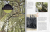 Histoires d’Arbres Remarquables