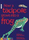 How a Tadpole Grows into a Frog