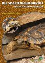 Die Spaltenschildkröte