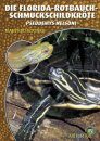 Florida-Rotbauch-Schmuckschildkröte: Pseudemys nelsoni [Florida Red-bellied Cooter]
