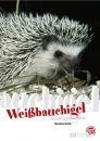 Weißbauchigel: Atelerix albiventris [Four-Toed Hedgehog]