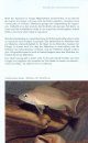 Schneckenbuntbarsche: Kobolde des Tanganjikasees [Shell-Dwelling Cichlids: Goblins of Tanganyika Lake]