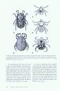 Foundations of Wildlife Diseases