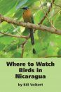 Where to Watch Birds in Nicaragua