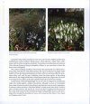 The Plant Lover's Guide to Snowdrops