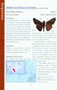 Field Guide to Butterflies of Seychelles