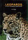 Leopards in the Changing Landscapes