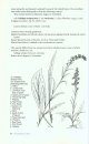 The Illustrated Flora of Illinois, Flowering Plants: Asteraceae, Part 1