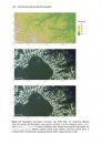 Remote Sensing and GIS for Ecologists