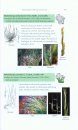 Field Guide to Wisconsin Grasses