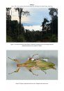 Biodiversity, Biogeography and Nature Conservation in Wallacea and New Guinea, Volume 2