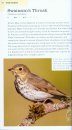 American Birding Association Field Guide to the Birds of Colorado