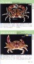 Umibe no ebi Yadokari Kanihandobukku [The Handbook of Seashore Decapod Crustaceans]