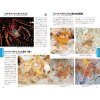 Sangoshō no Ebihandobukku [Coral Reef Shrimps of the Indo-West Pacific]