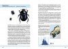 Nordens Dyngbaggar [Dung Beetles of Northern Europe]
