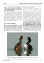 Ferrantia, Volume 67: Comparative Studies of Behaviour in Allopatric Subspecies of Grebes, Podicipedidae