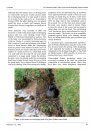 Ferrantia, Volume 67: Comparative Studies of Behaviour in Allopatric Subspecies of Grebes, Podicipedidae