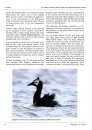 Ferrantia, Volume 67: Comparative Studies of Behaviour in Allopatric Subspecies of Grebes, Podicipedidae