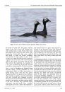 Ferrantia, Volume 67: Comparative Studies of Behaviour in Allopatric Subspecies of Grebes, Podicipedidae