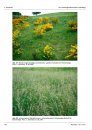 Ferrantia, Volume 66: Die Graslandgesellschaften Luxemburgs [The Grassland Plant Communities of Luxembourg]