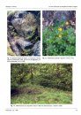 Ferrantia, Volume 63: La Flore Calcicole et Basophile du Massif Vosgien [The Calcicole and Basophile Flora of the Vosges Massif]