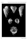 Ferrantia, Volume 58: Beiträge zur Paläontologie des Unterdevons Luxemburgs, Volume 2 [Contribution to the Palaeontology of the Lower Devonian of Luxembourg, Volume 2]