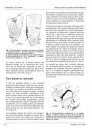 Ferrantia, Volume 58: Beiträge zur Paläontologie des Unterdevons Luxemburgs, Volume 2 [Contribution to the Palaeontology of the Lower Devonian of Luxembourg, Volume 2]