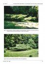 Ferrantia, Volume 48: Les Hêtres Tortillards, Fagus sylvatica L. var. tortuosa Pépin, de Lorraine, dans Leur Contexte Européen [The Dwarf Beech, Fagus sylvatica L. var. tortuosa Pépin, from Lorraine, in Its European Context]