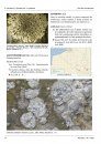 Ferrantia, Volume 40: Les Macrolichens de Belgique, du Luxembourg et du Nord de la France: Clés de Détermination [The Macro Lichens of Belgium, Luxembourg and the North of France: Identification Keys]
