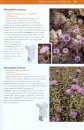 Trees and Shrubs of the Pacific Northwest