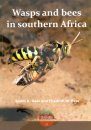 Wasps And Bees In Southern Africa