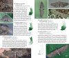 Suomen Päivä- ja Yöperhoset - Maastokäsikirja [A Field Guide to the Butterflies and Morths of Finland]