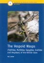 RES Handbook, Volume 6, Part 6: The Vespoid Wasps (Tiphiidae, Mutillidae, Sapygidae, Scoliidae and Vespidae) of the British Isles