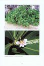 Flora of Peninsular Malaysia, Series II: Seed Plants, Volume 4