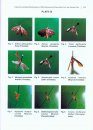 Forest Entomology