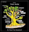 Updated Field Guide for Visual Tree Assessment