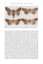 ZooKeys 421: Contributions to the Systematics of New World Macro-Moths V