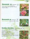 Guide Illustré de la Flore de Maurice et des Iles de l'Océan Indien [An Illustrated Guide to the Flora of Mauritius and the Indian Ocean Islands]